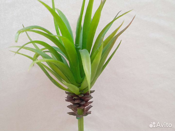 Искусственные цветы суккуленты