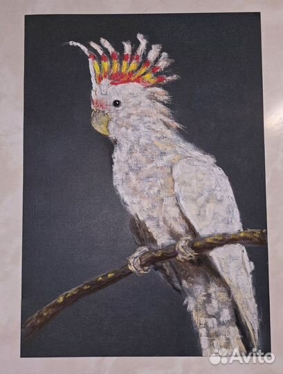 Продам картины