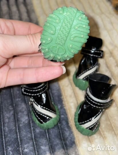 Обувь для собак