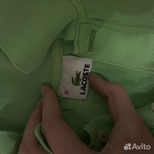 Поло lacoste