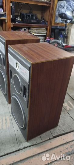 Акустику Вега 25ас109-1