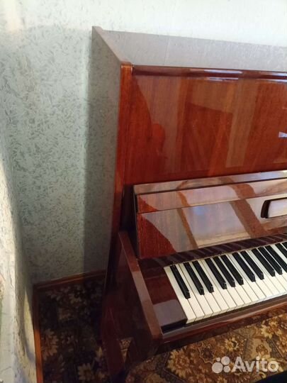 Сюита Ноктюрн настроенное