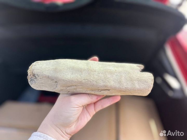 Коряга для декора дрифтвуда