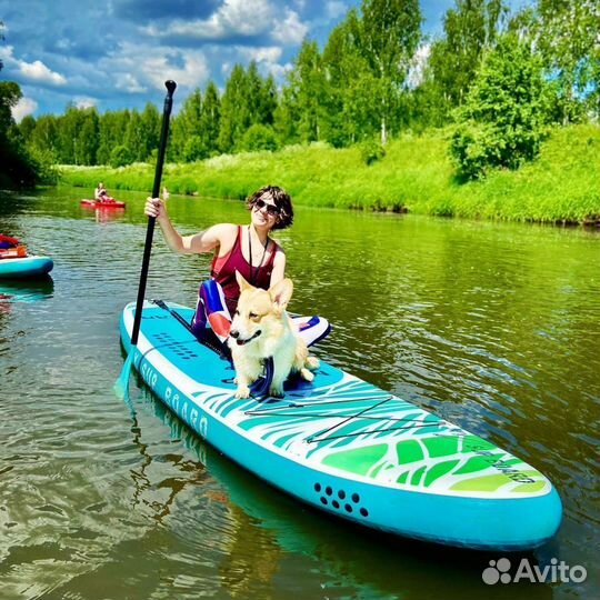 Sup board аренда