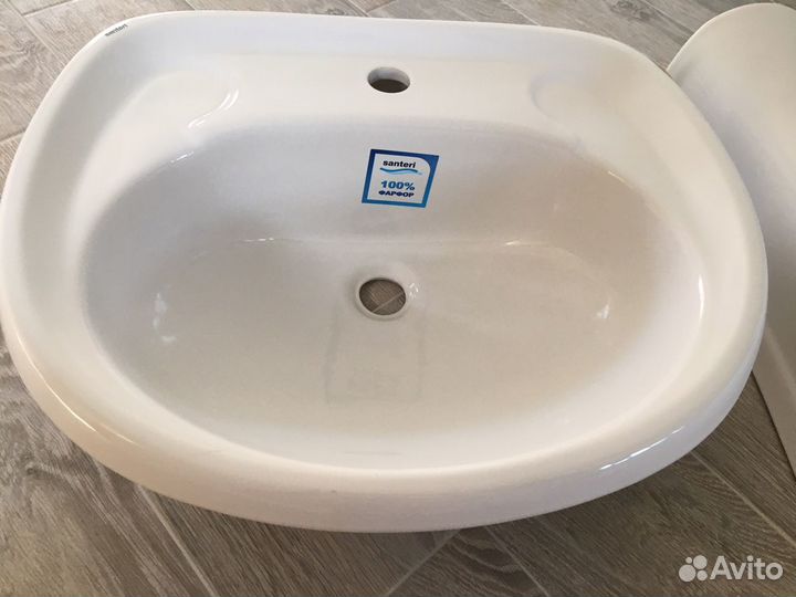 Раковина тюльпан