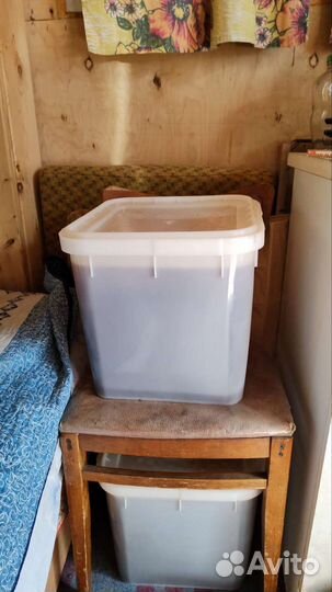 Мед цветочный