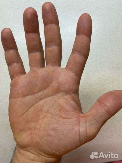 Хиромант,нумеролог,обучение