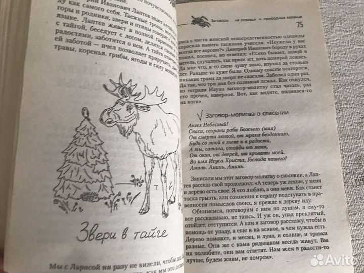 Книга Заговоры на деньги и богатство