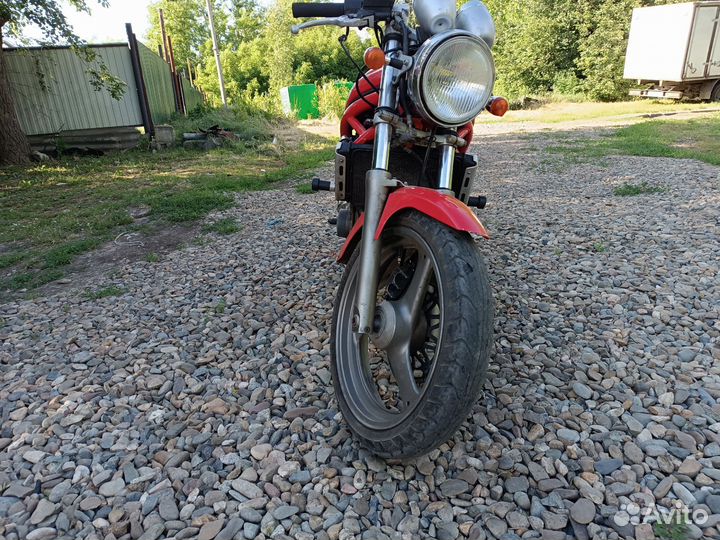 Suzuki bandit gsf 250