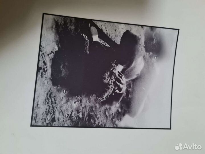 Ню. Альбом художественных фоторабот