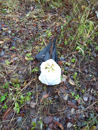 Участок 7,5 сот. (СНТ, ДНП)