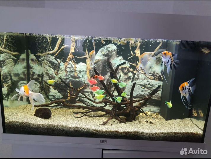 Аквариум juwel 125 литров