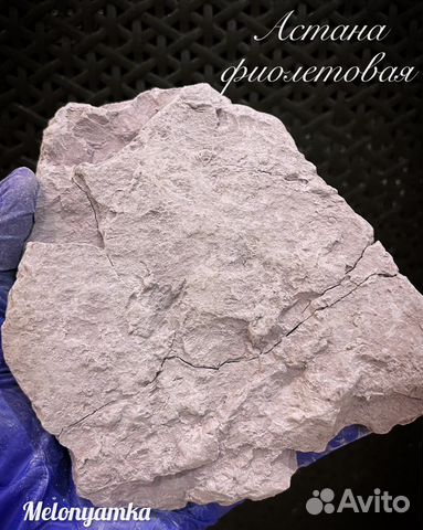 Астана фиолетовая