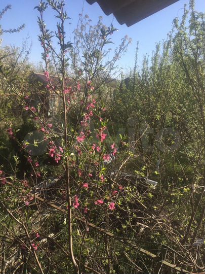 Дача 20 м² на участке 6 сот.