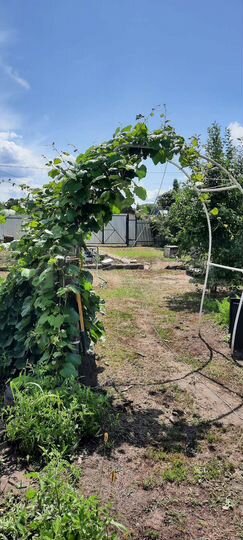 Дача 24 м² на участке 7 сот.