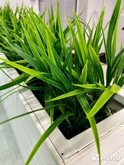 Аренда студии под праздник мероприятие