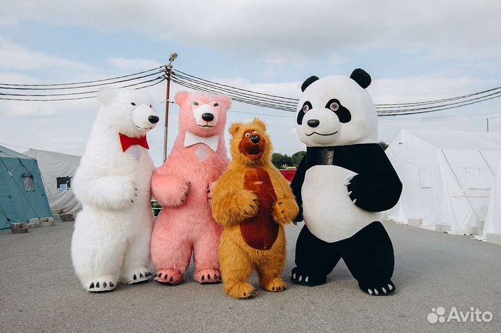 Белый Мишка шоу/Панда/ аниматор/поздравление