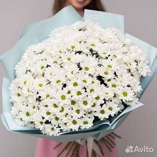 Хризантема Букет хризантем Доставка