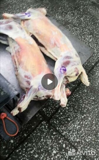 Мясо баранина