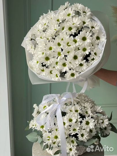 Ромашки цветы букеты