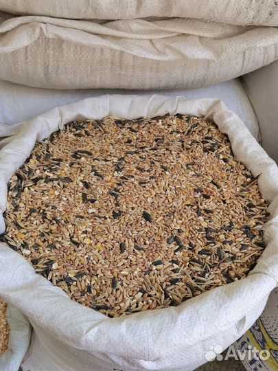 Комбикорм зерно