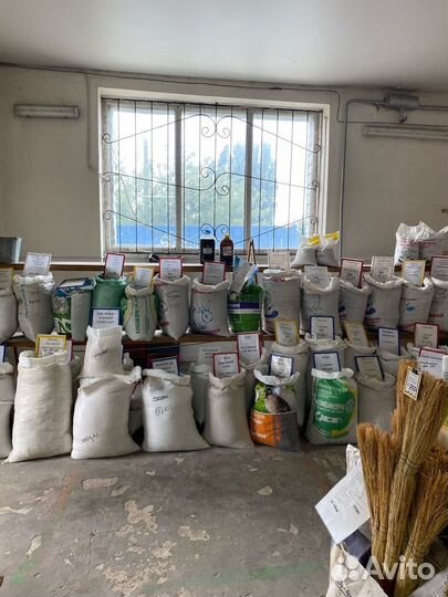 Мистер кет для кошек в ассортименте