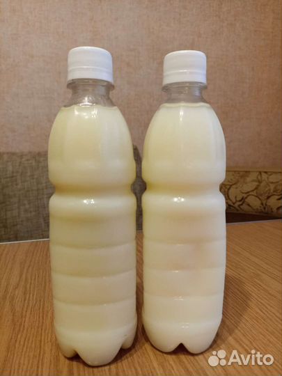 Барсучий жир от охотника