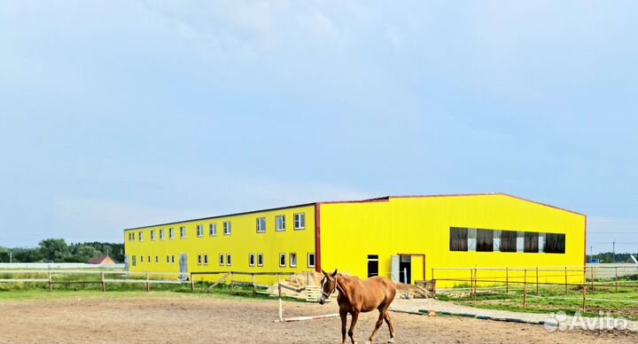 Постой лошадей, большой манеж, выпас новая конюшня