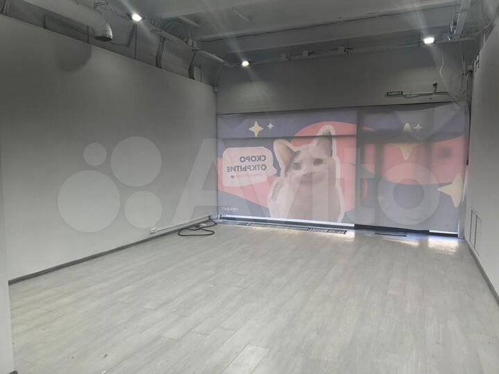 Общепит, 50.5 м²