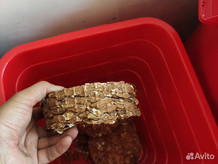 Жмых различных семян