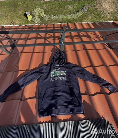 Толстовка lacoste мужская