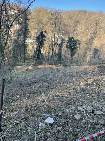 Участок 6,2 сот. (СНТ, ДНП)