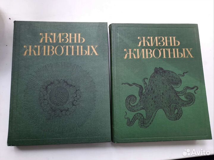 Энциклопедия 