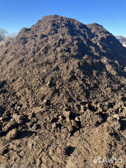 Навоз коровий с доставкой