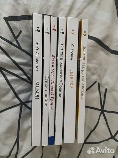 Новые книги из школьной программы