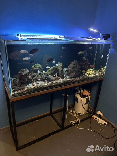 Аквариум на 400 литров