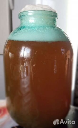 Домашнее безалкогольное пенное