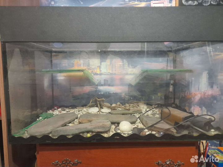 Аквариум