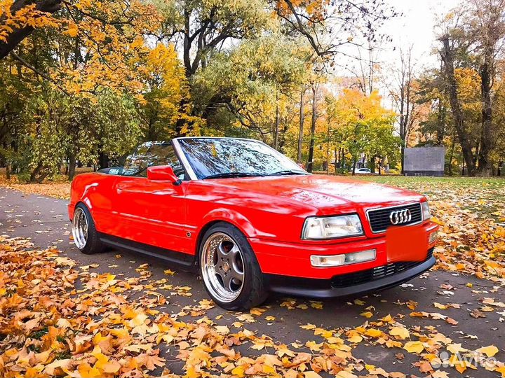 Экскурсия на куршскую косу