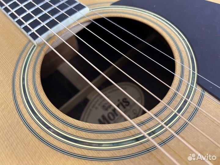 Гитара акустическая Morris W-30 made in Japan