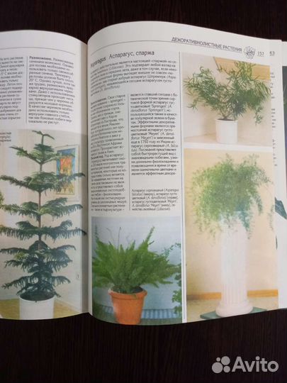 Книги о растениях