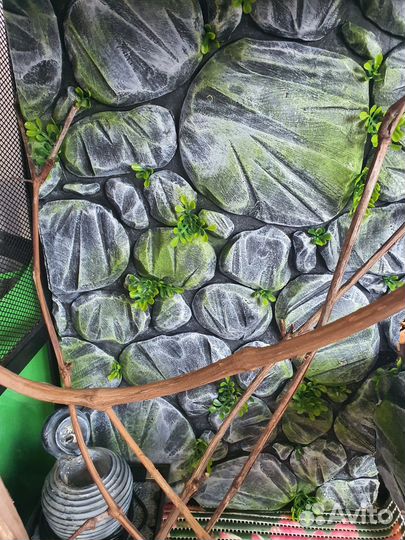 Террариум для хамелеона