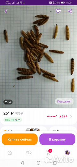 Лакомство для грызунов