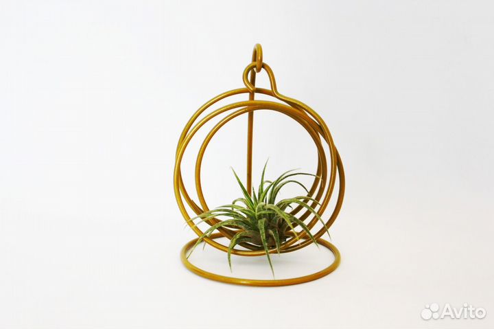 Подставка для тилландсии