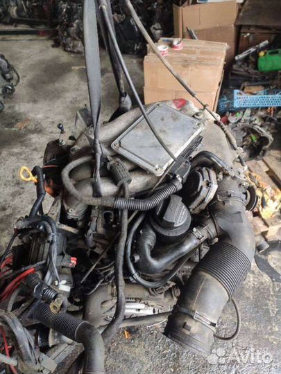 Двигатель Volkswagen Golf 4 2001 AQY