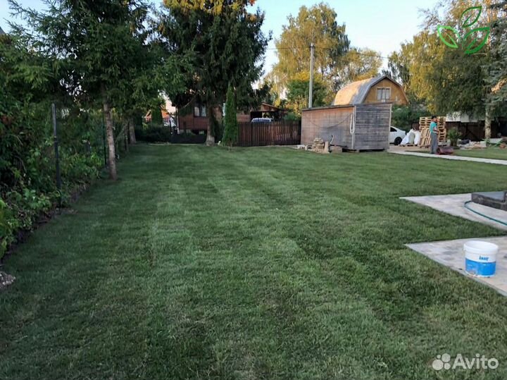 Рулонный газон под ключ