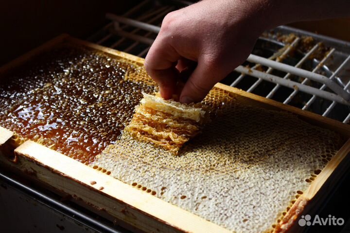 Мёд цветочный