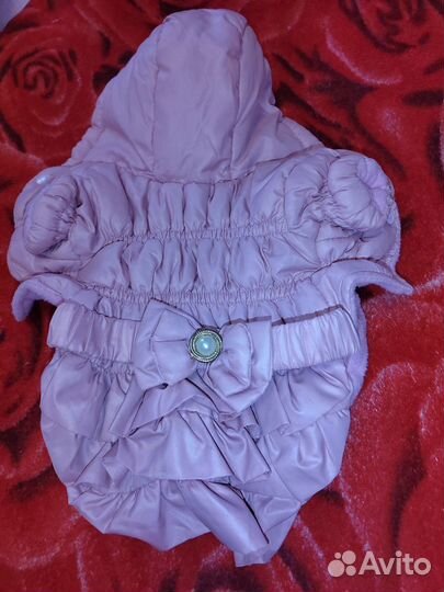 Куртка для маленькой собаки