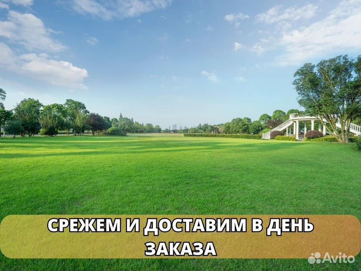 Укладка и продажа рулонного газона