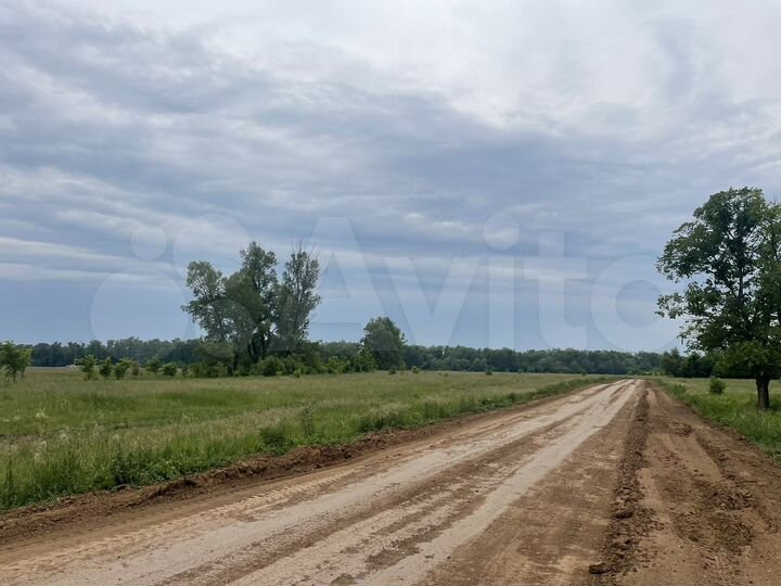 Участок 13 сот. (СНТ, ДНП)